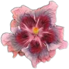 🤩 Эмодзи «🤩 flowers - цветы» для Telegram