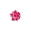 🤩 Эмодзи «🤩 flowers - цветы» для Telegram