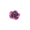 🤩 Эмодзи «🤩 flowers - цветы» для Telegram