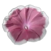 🤩 Эмодзи «🤩 flowers - цветы» для Telegram