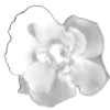🤩 Эмодзи «🤩 flowers - цветы» для Telegram
