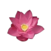🤩 Эмодзи «🤩 flowers - цветы» для Telegram