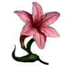 Эмодзи 🤩 flowers - цветы для Telegram — скачать