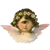🌟 Эмодзи «🌟 flowers &amp;.. - цветочный вайб» для Telegram