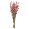 🌟 Эмодзи «🌟 flowers &amp;.. - цветочный вайб» для Telegram
