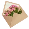 🌟 Эмодзи «🌟 flowers &amp;.. - цветочный вайб» для Telegram