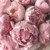 🌟 Эмодзи «🌟 flowers &amp;.. - цветочный вайб» для Telegram