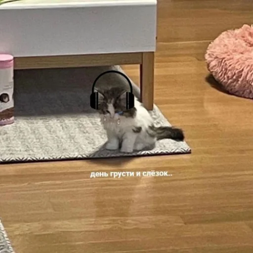 😭 Стикер «fluffy ambulance» для Telegram