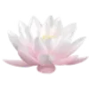 🪷 Эмодзи «🌟 Цветы» для Telegram
