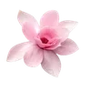 🌟 Эмодзи «🌟 Цветы» для Telegram