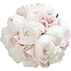 💐 Эмодзи «🌟 Цветы» для Telegram