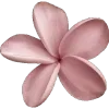 🌸 Эмодзи «🌟 Цветы» для Telegram