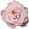 🤩 Эмодзи «🌟 Цветы» для Telegram