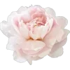 🤩 Эмодзи «🌟 Цветы» для Telegram