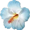 🌟 Эмодзи «🌟 Цветы» для Telegram