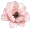 💐 Эмодзи «🌟 Цветы» для Telegram