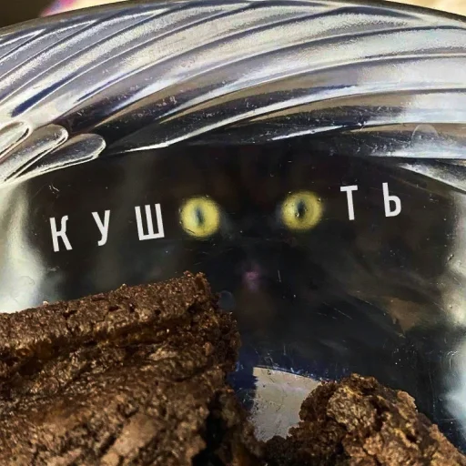 🤤 Стикер «FockingLife» для Telegram