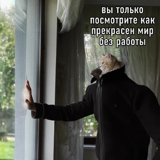 Стикерпак FockingLife для Telegram — скачать