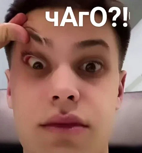 🤨 Стикер «Fogel Robchik» для Telegram