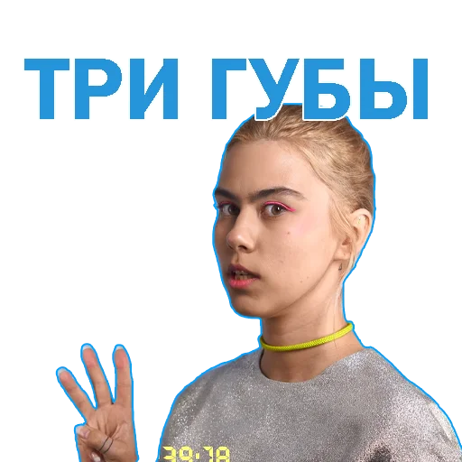 3️⃣ Стикер «foilar_mejstrok» для Telegram