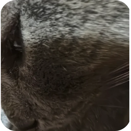 🙁 Стикер «Природа» для Telegram