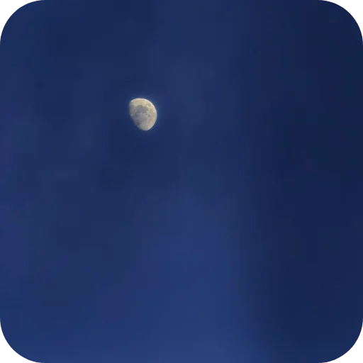🌓 Стикер «Природа» для Telegram