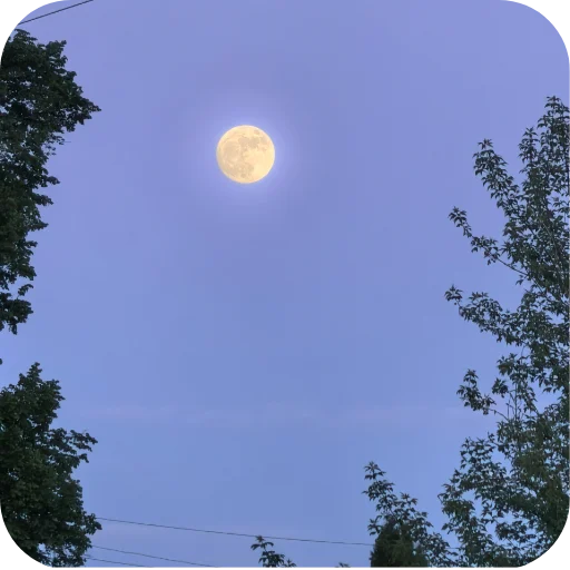 🌕 Стикер «Природа» для Telegram