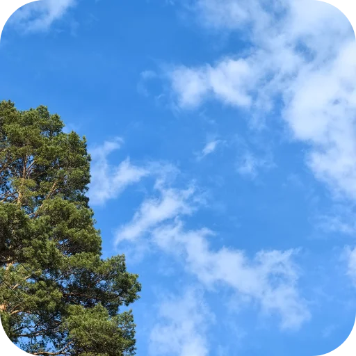 🌤 Стикер «Природа» для Telegram