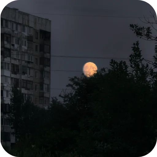 🌅 Стикер «Природа» для Telegram