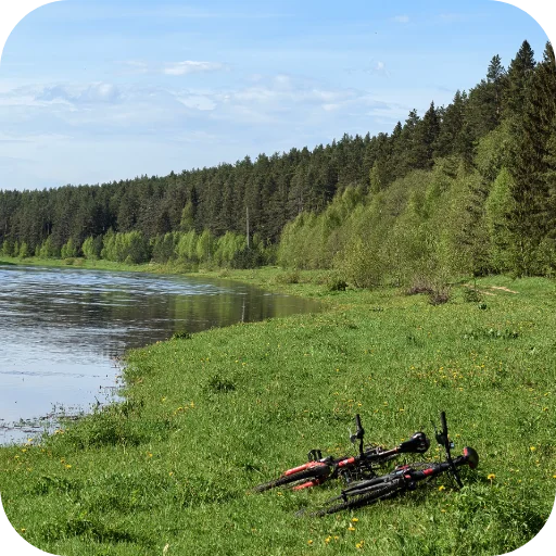🚴 Стикер «Природа» для Telegram