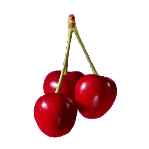 🥐 Стикер «Food» для Telegram