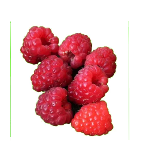 🥐 Стикер «Food» для Telegram