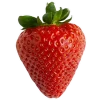 🍓 Эмодзи «Роллы, Фастфуд» для Telegram