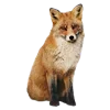 🦊 Эмодзи «Лесная Сказка» для Telegram