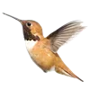 🕊️ Эмодзи «Лесная Сказка» для Telegram