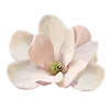 🌸 Эмодзи «Лесная Сказка» для Telegram