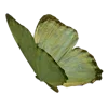 🦋 Эмодзи «Лесная Сказка» для Telegram