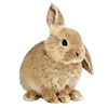 🐇 Эмодзи «Лесная Сказка» для Telegram