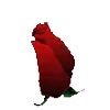 🌹 Эмодзи «Forever cute - рандомные милые эмоджи» для Telegram