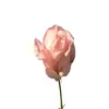 🌹 Эмодзи «Forever cute - рандомные милые эмоджи» для Telegram