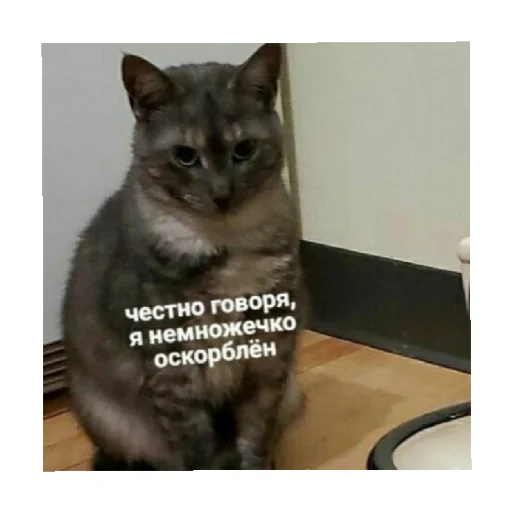 🥺 Стикер «For every occasion 2» для Telegram