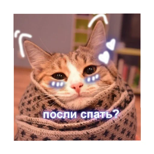 😴 Стикер «For every occasion 2» для Telegram