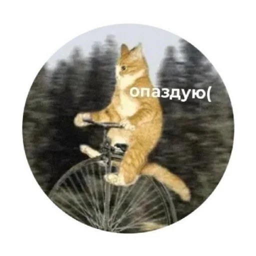 😬 Стикер «For every occasion 2» для Telegram