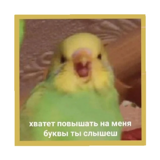 😠 Стикер «For every occasion 2» для Telegram