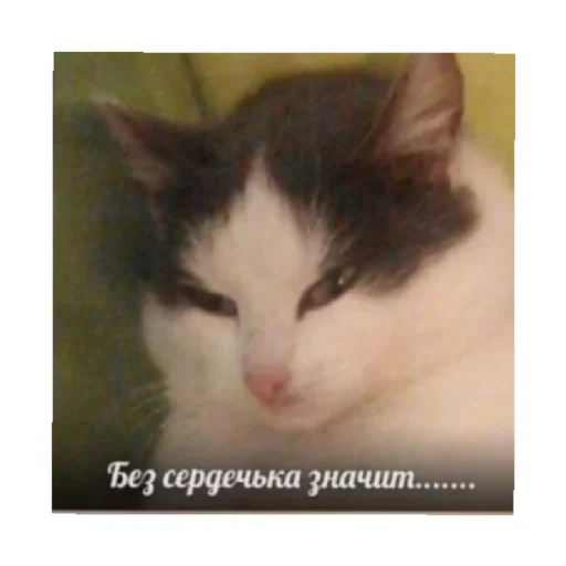 😠 Стикер «For every occasion 2» для Telegram