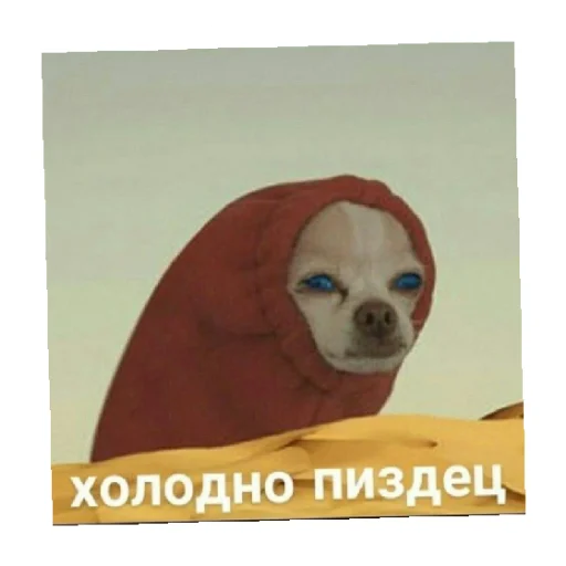🥶 Стикер «For every occasion 2» для Telegram