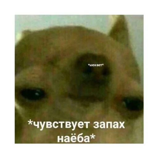 😑 Стикер «For every occasion 2» для Telegram