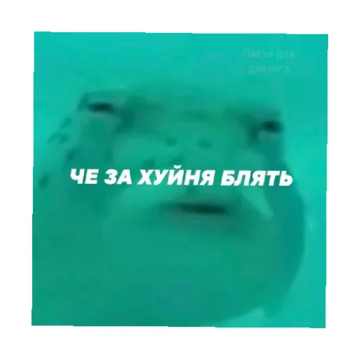 🗿 Стикер «For every occasion 2» для Telegram