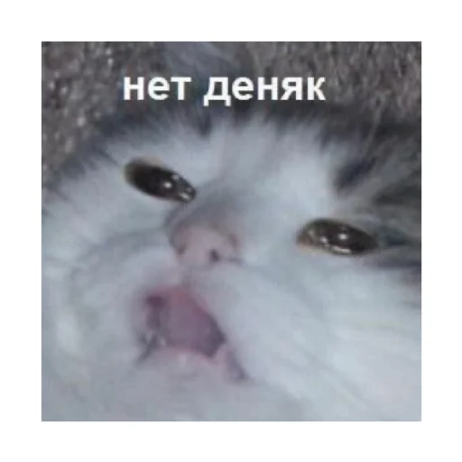 😞 Стикер «For every occasion 2» для Telegram