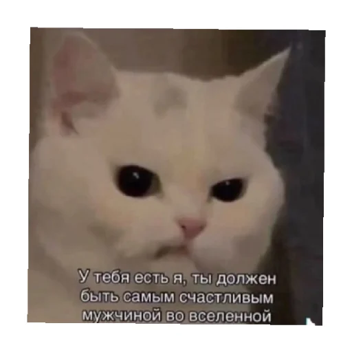 😠 Стикер «For every occasion 2» для Telegram